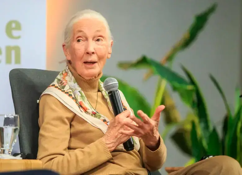 Jane Goodall durante su visita a Medellín en 2024. FOTO: Camilo Suárez