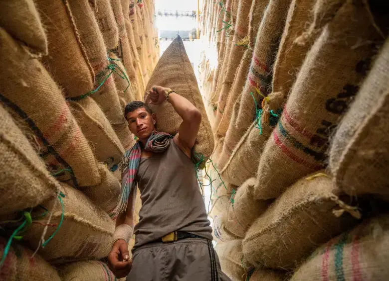 En los últimos 12 meses, las exportaciones cafeteras alcanzaron los US$5.400 millones, una cifra nunca antes registrada. La producción llegó a 14,6 millones de sacos, el nivel más alto desde 1992.