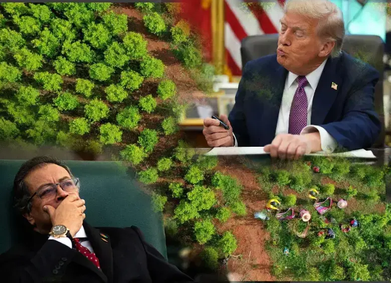 ¿Estados Unidos podría darle nuevamente la certificación a Colombia en la lucha contra las drogas? FOTOS: Colprensa, AFP y Presidencia 