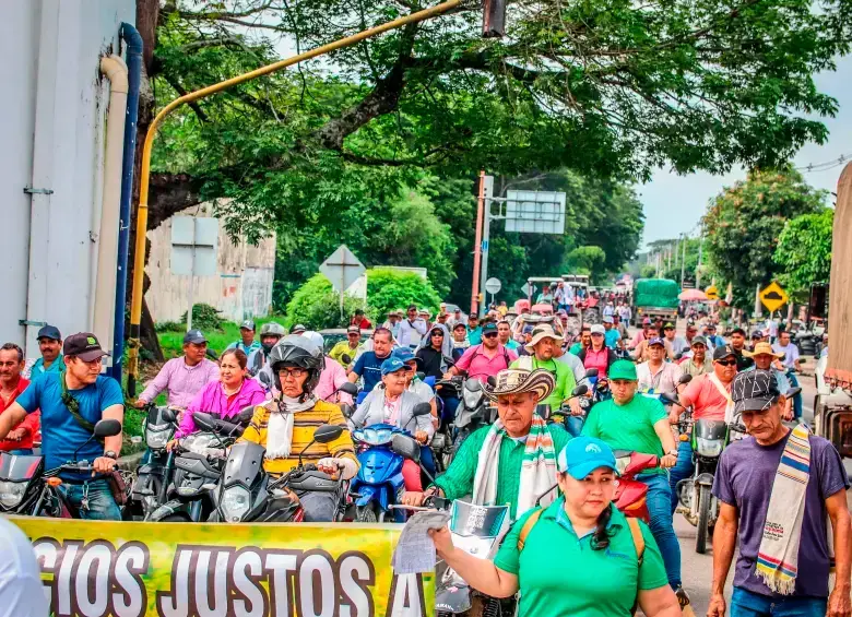 FOTO CORTESÍA. 