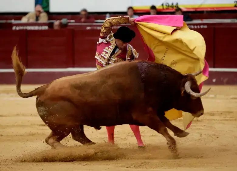 Las corridas de toros quedaron prohibidas en Colombia después de que el Congreso aprobara un proyecto de ley en ese sentido. FOTO COLPRENSA