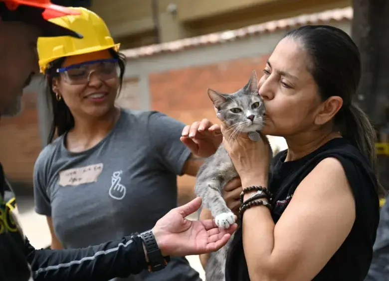 Polux y su dueña, Vickye Giraldo, se reencontraron después de que el gato fuera rescatado con vida entre los escombros de un edificio en Cali. Foto: AFP