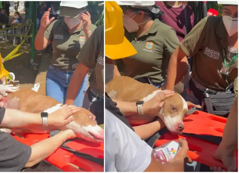 Renata siendo atendida por los organismos de socorro. Foto: captura de video redes sociales @JohaFuentes
