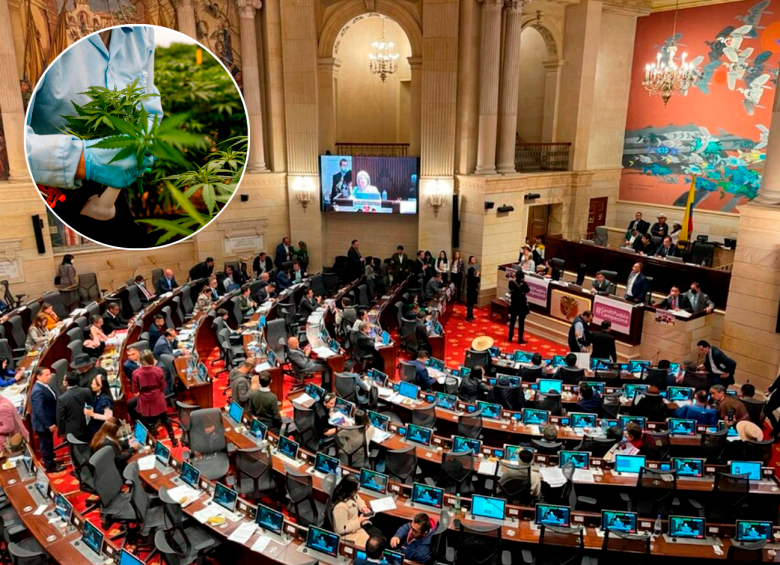 A la iniciativa le restan dos debates en Senado para ser ley de la República. FOTO EL COLOMBIANO Y COLPRENSA