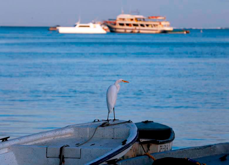 Quince niños murieron en Nigeria mientras cruzaban un río en busca de leña. Foto: Juan Antonio Sáchez/foto de referencia. 