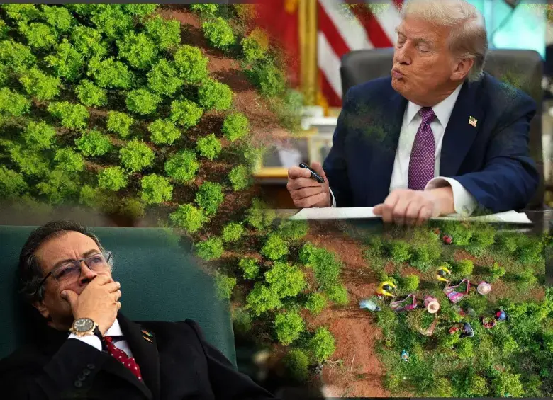 ¿Estados Unidos podría darle nuevamente la certificación a Colombia en la lucha contra las drogas? FOTOS: Colprensa, AFP y Presidencia 