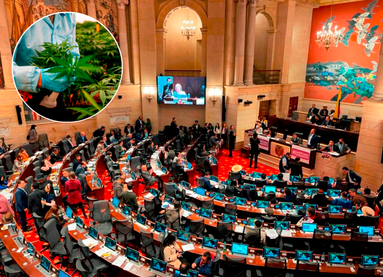 El congreso hundió por segunda vez en este año el proyecto para legalizar el cannabis de uso recreativo. FOTO: CORTESÍA