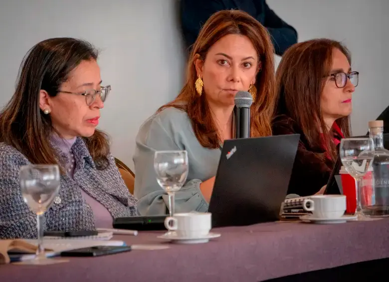 La ministra de Salud, Ana María Vesga, denunció esta semana que encontró un hueco fiscal de $3 billones en esa cartera. FOTO CORTESÍA