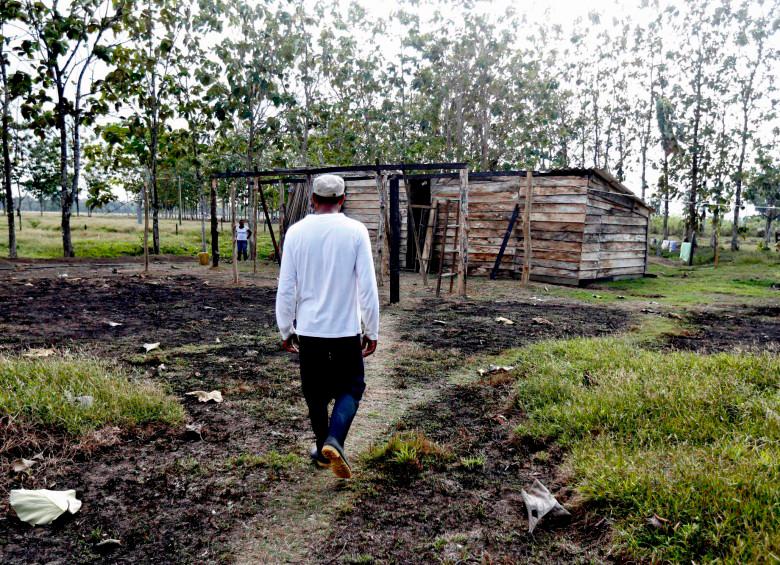 Los paramilitares despojaron más de 20.000 hectáreas en Urabá. FOTO: JUAN ANTONIO SÁNCHEZ