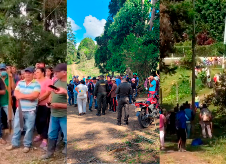 La invasión de tierras se han presentando . FOTO: COLPRENSA