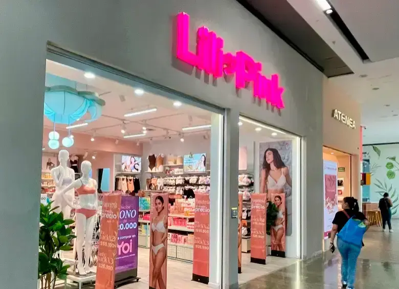 Las autoridades impusieron medidas cautelares sobre inmuebles vinculados a Lili Pink, ubicados principalmente en Bogotá y Cundinamarca. FOTO EL COLOMBIANO