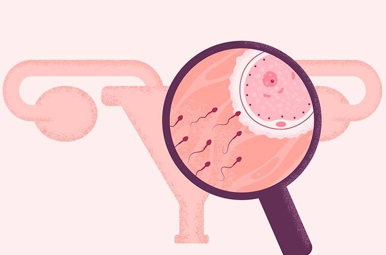 Así le pueden ayudar las pruebas de fertilidad 
