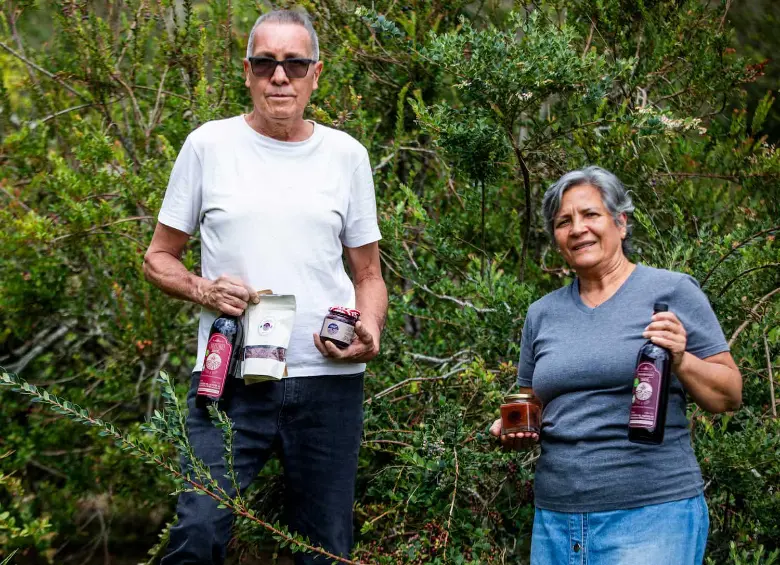 Estos son Jair Pineda y María Elena Olmos en su finca en Montebello, Antioquia. FOTO: Julio César Herrera.