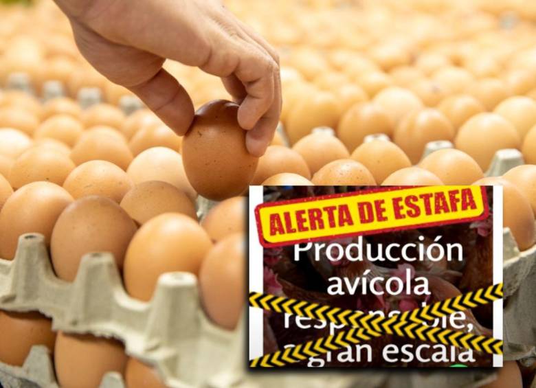 La estafa habría ocurrido a través de WhastApp. FOTOS: El Colombiano y Cortesía