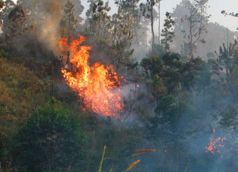 Meta, Boyacá, Cesar, Cundinamarca y Santander, los departamentos más efectados con los incendios. FOTO Colprensa