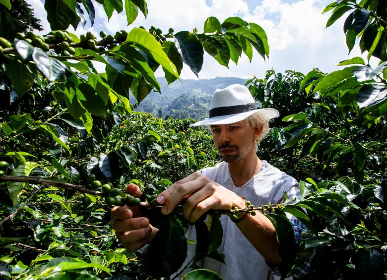 El sector cafetero considera que el comportamiento de la tasa de cambio es clave para la competitividad de las exportaciones colombianas.FOTO JULIO CÉSAR ECHEVERRY. 