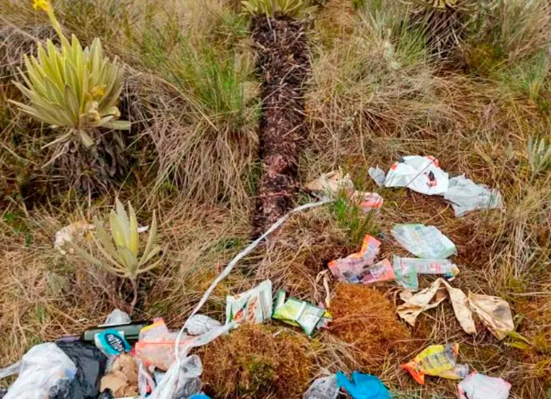 En 2022, un grupo de turistas tumbó frailejones y dejó un basural. Esto fue determinante para el la restricción del turismo que ordenó Corpourabá. Foto: cortesía.