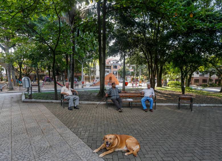 Protección busca ofrecer a pensionados el seguro previsional y rentas vitalicias. FOTO Julio César Herrera