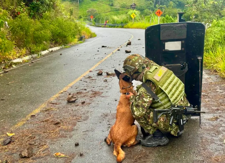 El equipo especializado en neutralización de explosivos adelantó el operativo. Foto: cortesía Ejército.