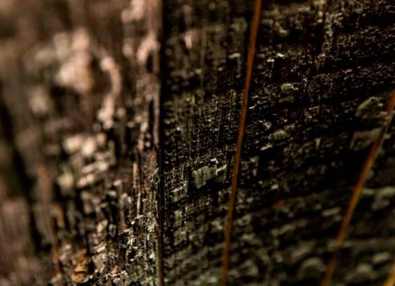 Los barriles de roble americano, carbonizados en su interior, no solo contienen el líquido por años: aportan compuestos que transforman aroma, color y textura.