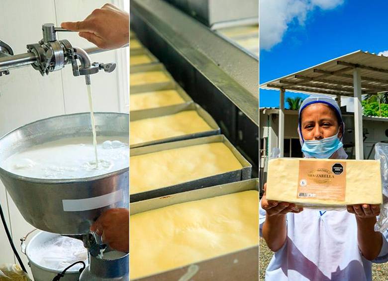 Lácteos K2 transforma hasta 3.000 litros de leche diarios en quesos, mantequilla y derivados lácteos en Jardín de Tamaná, Cáceres. FOTO CAMILO SUÁREZ