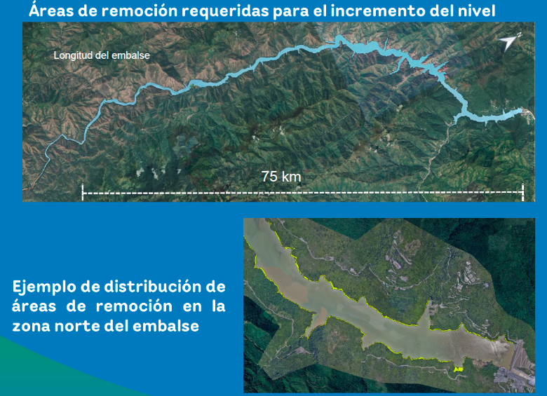 El material vegetal que se encuentra en el vaso del embalse —estimado en la actualidad en 274 hectáreas—, debe ser removido. FOTO CORTESÍA EPM 