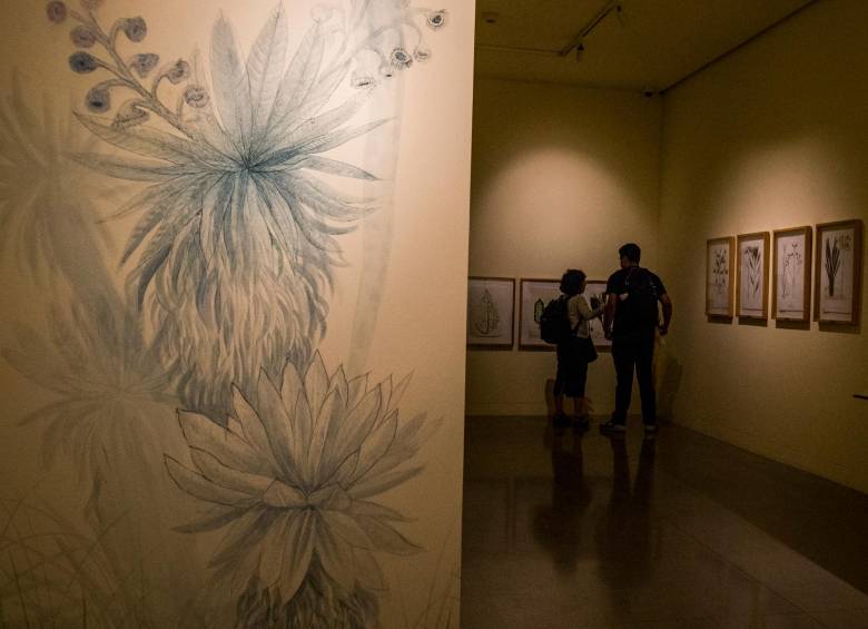 La exposición se ve en la sala Historias para Repensar del Museo de Antioquia. Foto: Julio César Herrera.