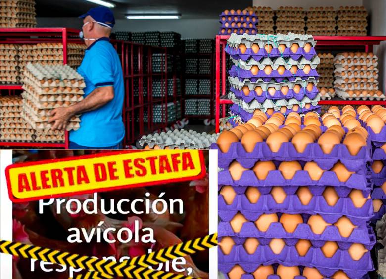 La estafa habría ocurrido a través de WhastApp. FOTOS: El Colombiano 