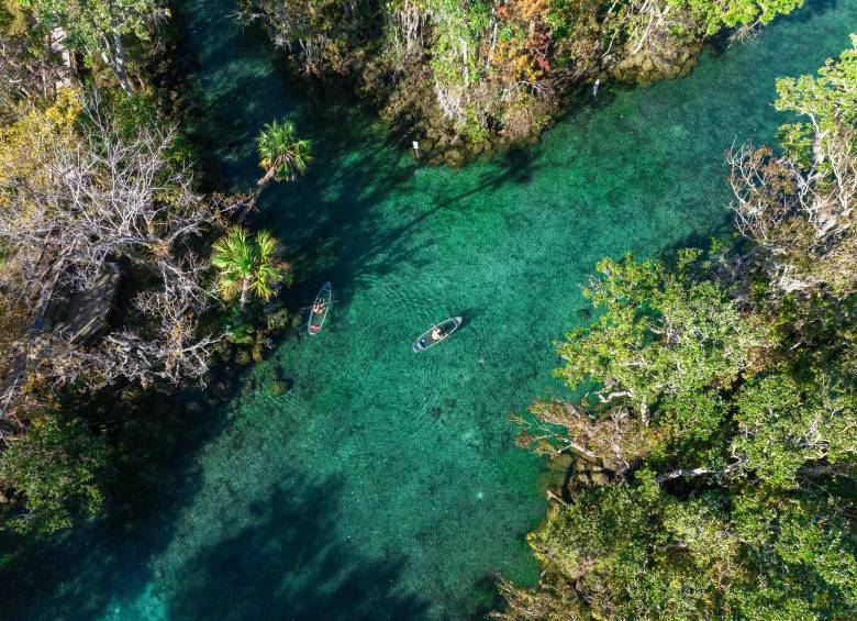 Florida, un destino para disfrutar de fútbol, cultura y naturaleza