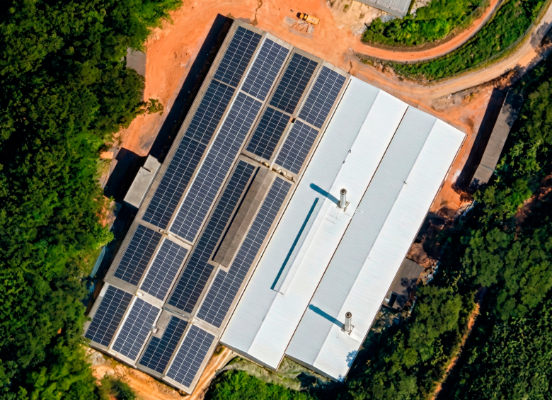 Alfarera Buena Vista, 60 años de barro, innovación y legado antioqueño