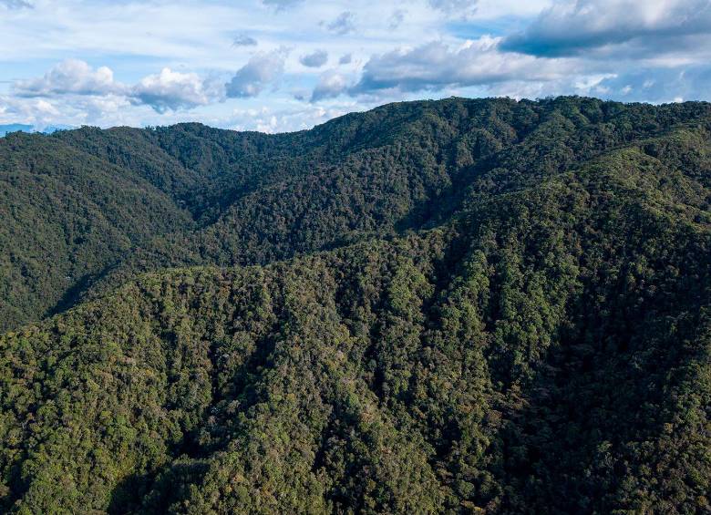 Panorámica de la reserva San Sebastián de La Castellana, en límites entre Envigado y El Retiro.