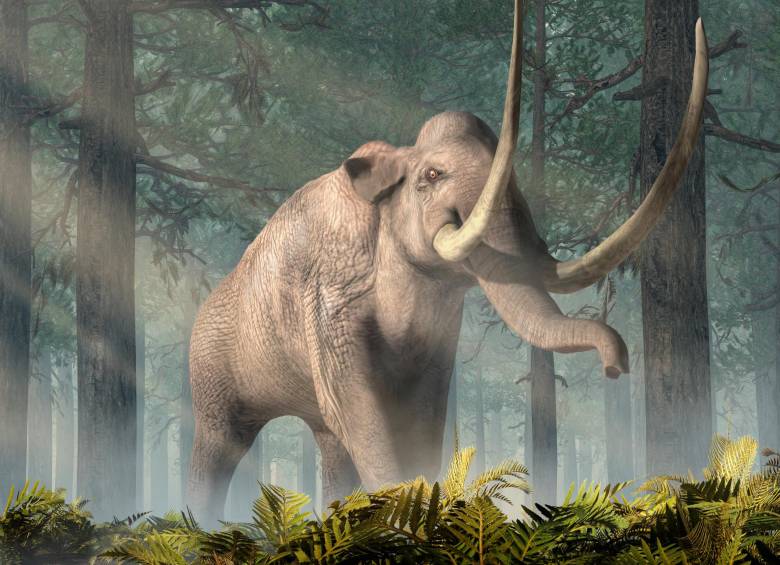 El Notiomastodon platensis hace parte de la megafauna que habitó Suramérica en tiempos inmemoriales. Foto: Shutter.