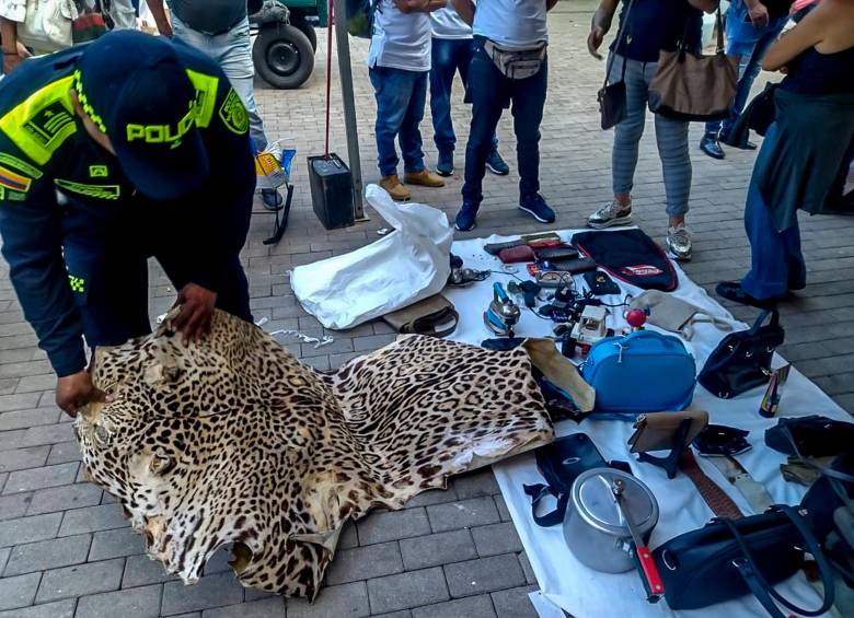 En el mercado Sanalejo fue incautada la piel de un jaguar a plena luz del día en un operativo de la Policía gracias a una alerta ciudadana. ¿Acaso el vendedor desconocía que el tráfico de fauna es delito? FOTO CORTESÍA