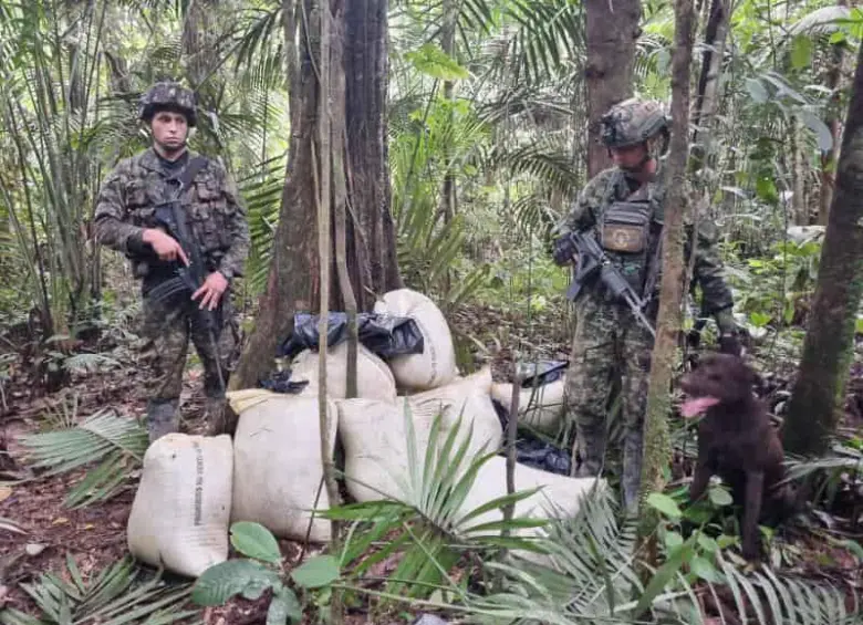 Un perro entrenado fue clave para encontrar los bultos con los explosivos en la selva. FOTO: CORTESÍA DEL EJÉRCITO.