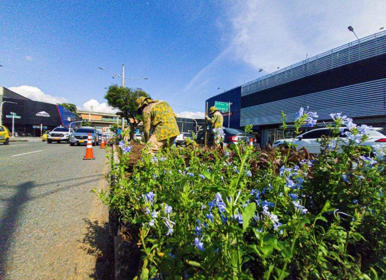 La avenida 33 está siendo intervenida con 5 tramos de vegetación para cambiar el anterior asfalto. FOTO: Alcaldía de Medellín