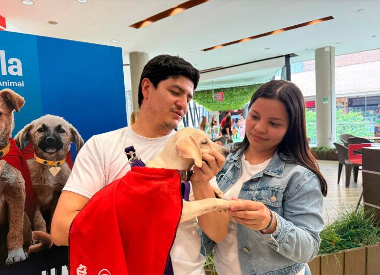 Las jornadas de Adopta un Superhéroe serán este sábado 9 y domingo 10 de agosto en los centros comerciales Florida, Aventura y la Central. Fotos cortesía. 