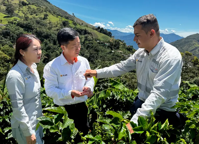 Voceros de la mina Buriticá aseguran que se ha fortalecido el empleo formal y el tejido empresarial del área de influencia del complejo. FOTO cortesía Zijin-Continental Gold 