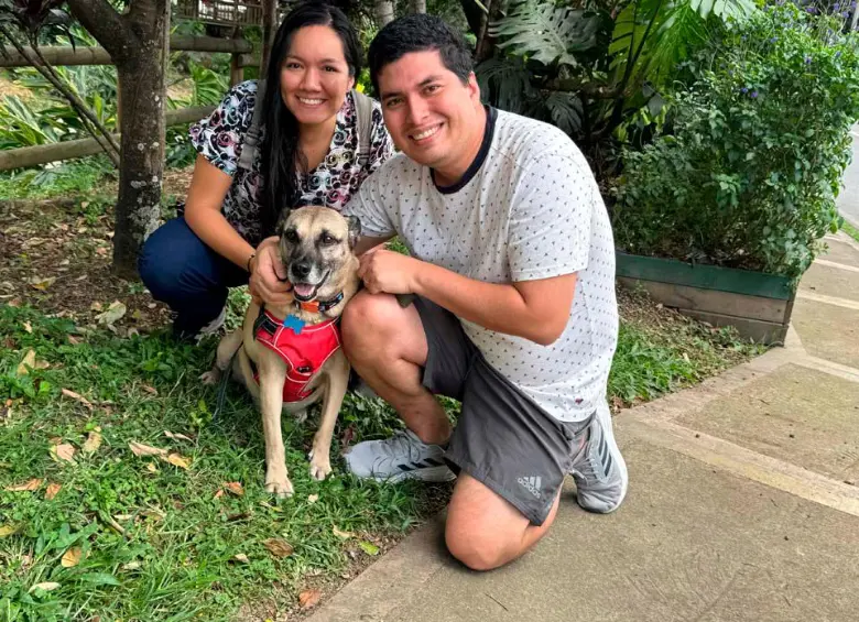 Final feliz: Odie, el perro rescatado hace 10 años de las vías del metro en Medellín, por fin encontró una familia