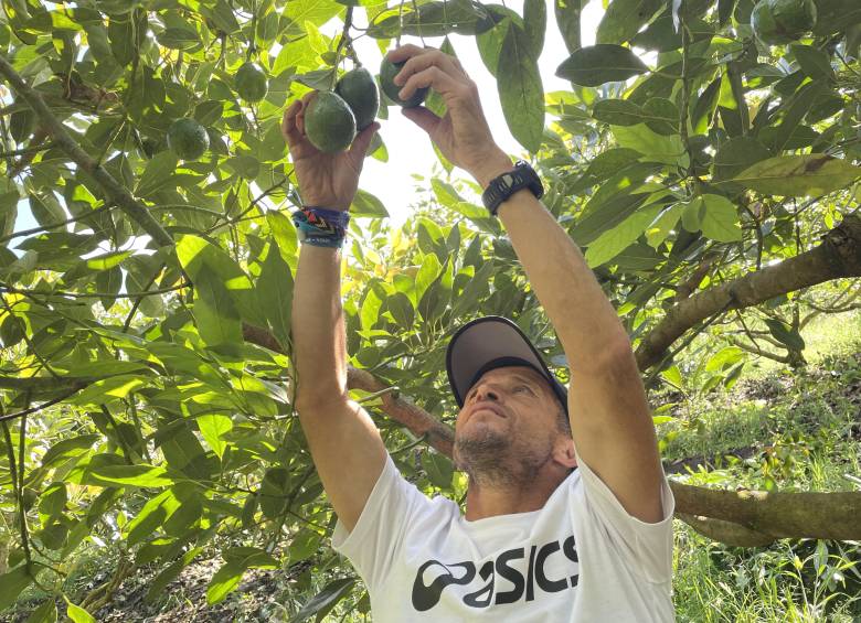 Uno de los “viejos” más rápidos del mundo es de La Ceja y cosecha aguacate hass