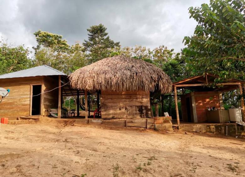 El cambuche de Otoniel era de madera, tenía Direc TV y colchón ortopédico. Era en el Urabá antioqueño. FOTO Cortesía (Policía)