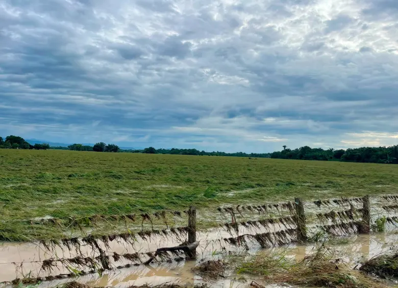 Las inundaciones afectaron cultivos de arroz, vías terciarias, jarillones y fincas en Casanare y Arauca, según Fedearroz. FOTO: CORTESÍA