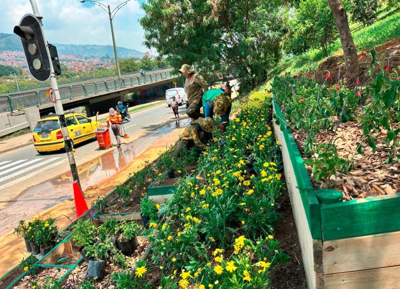 Estas jardineras, con flores y algunas otras especies, ya decoran el sector de Moravia que estaba invadido por los escombros. FOTO: CORTESÍA