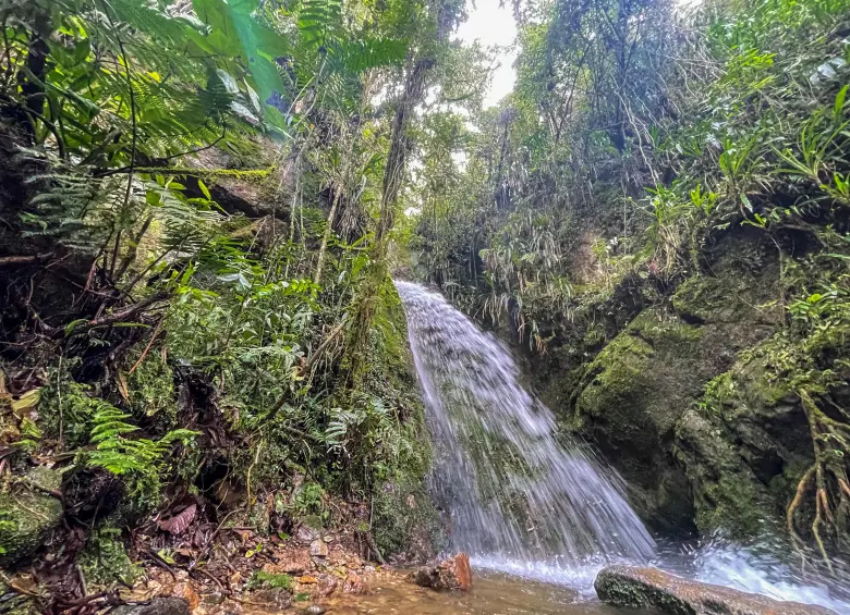 Cascadas. Foto: Cristina Rodriguez.