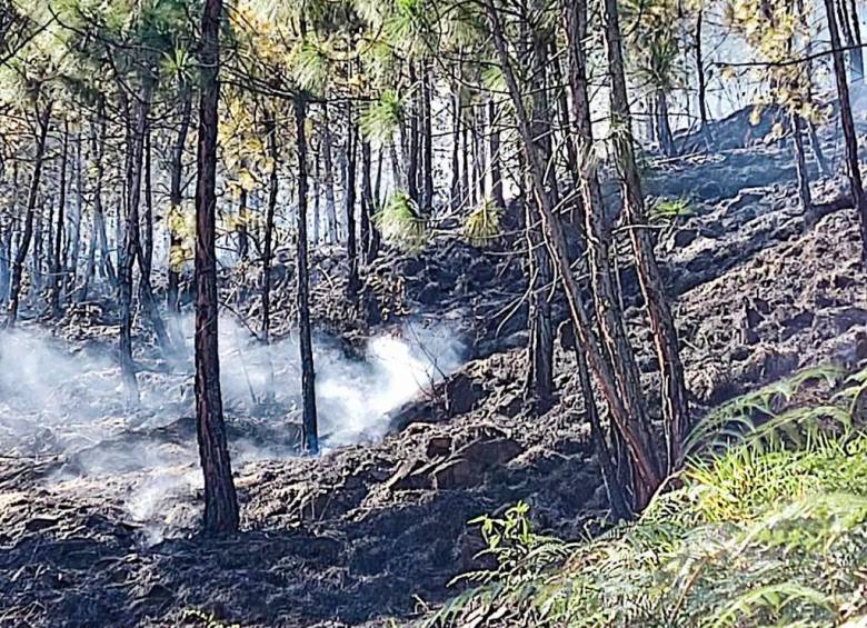 Autoridades atienden incendio en cerro Quitasol, de Bello
