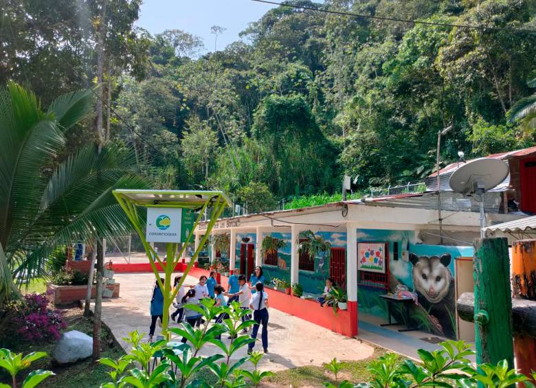 Nordeste, Norte, Bajo Cauca y el Magdalena Medio también dicen presente con sus Ecoescuelas