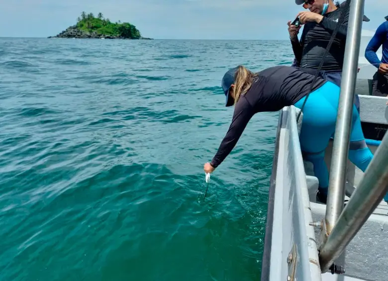 Investigadores durante el trabajo de campo en el Golfo de Urabá, donde recolectaron muestras de la microcapa superficial marina para su análisis en laboratorios especializados. FOTO cortesía UdeA