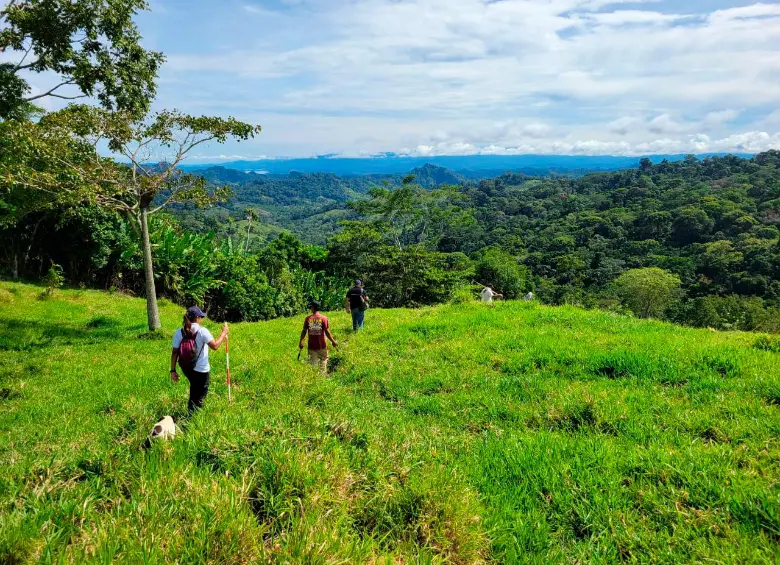 Después de identificación por parte de Medicina Legal, los restos serán entregados a sus familias para que por fin cierren el capítulo de dolor. FOTO: CORTESÍA JEP