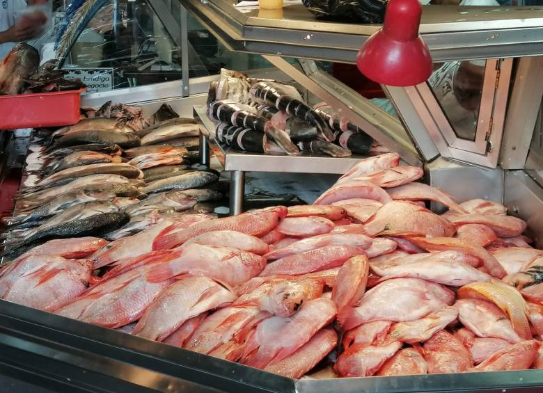 Colombia produce entre 120.000 y 130.000 toneladas de tilapia al año. Foto: Archivo