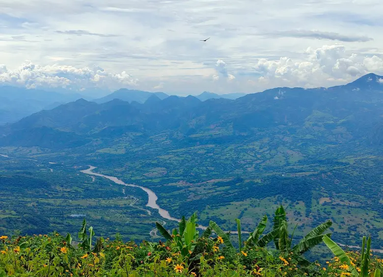 Desde un estadero de la vereda La Soledad, en Jericó, el cañón del Cauca duerme su sueño plácido en el valle que marca el límite entre Antioquia y Caldas. FOTO JUAN DIEGO ORTIZ JIMÉNEZ