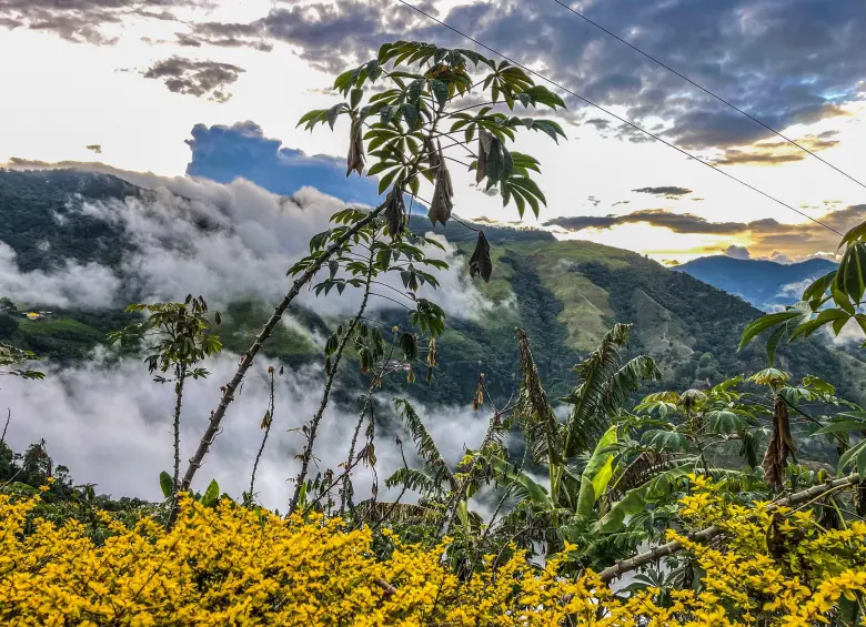 Última finca camino a Concordia. Foto: Cristina Rodriguez. 